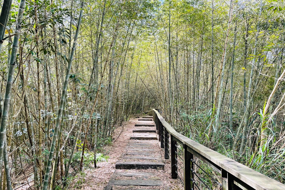 嘉義梅山孝子路步道健走，超美綠竹林與綠色山路打卡點