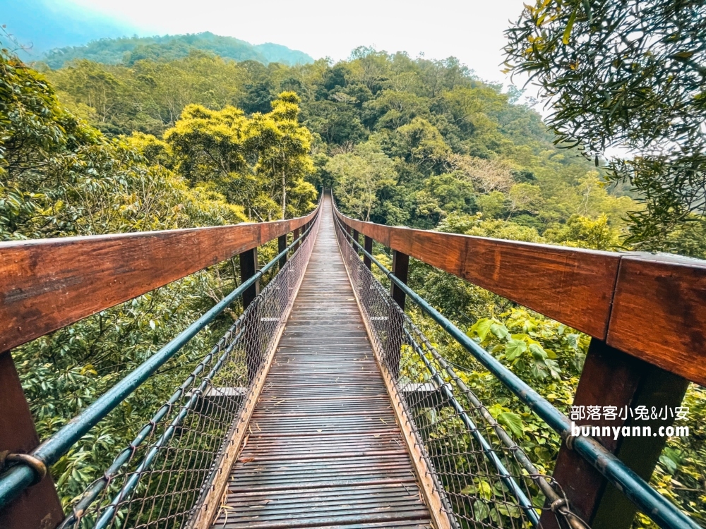 屏東【雙流國家森林遊樂區】漫步森林吊橋，跳石過溪好有趣