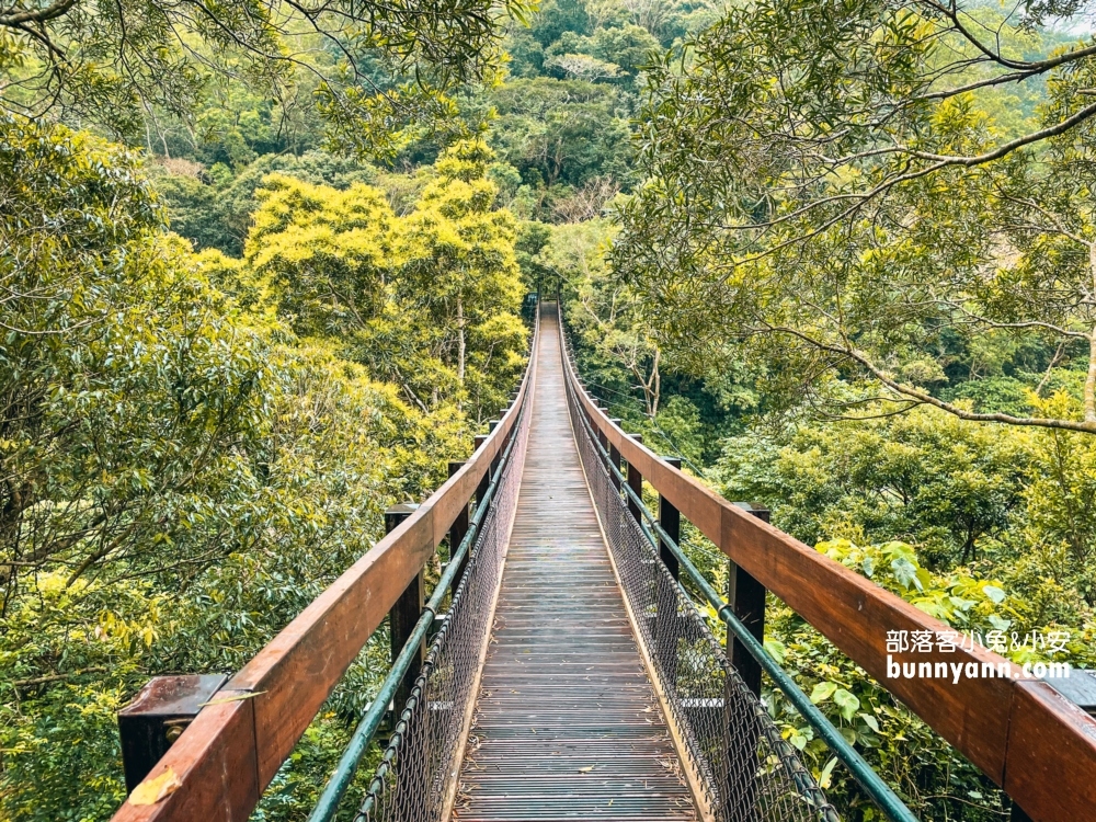 屏東【雙流國家森林遊樂區】漫步森林吊橋，跳石過溪好有趣