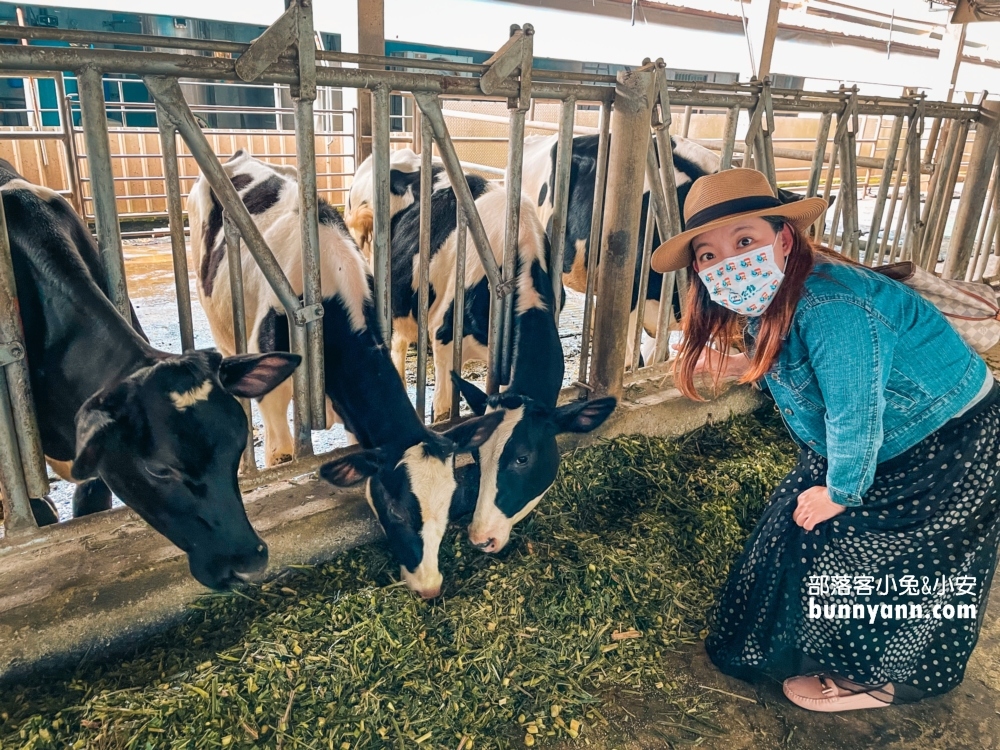 屏東萬大牧場補乳室，美拍韓系雜貨風，看牛牛吃草去