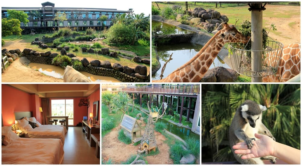 網站近期文章：關西六福莊》關西六福莊生態渡假旅館，動物園裡住一晚(2023)
