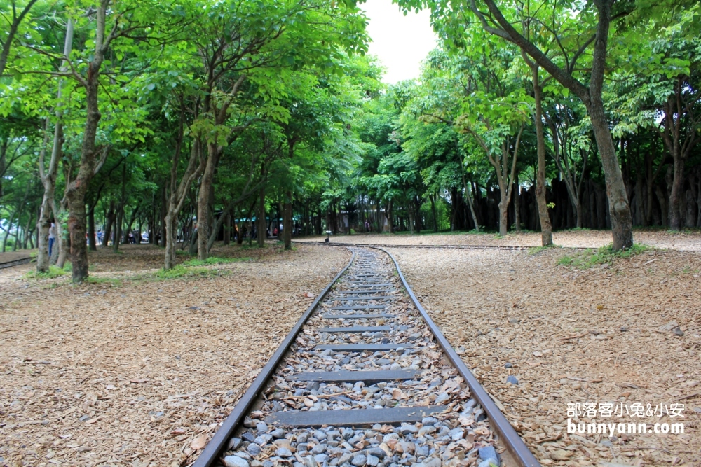 宜蘭【羅東林業文化園區】漫步在羅東林場森林鐵道中這樣玩!!