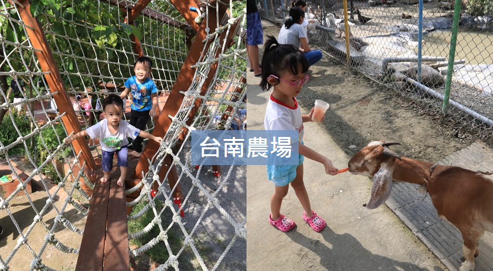 【台南農場景點】10間必訪戶外農場，親子與動物互動體驗去