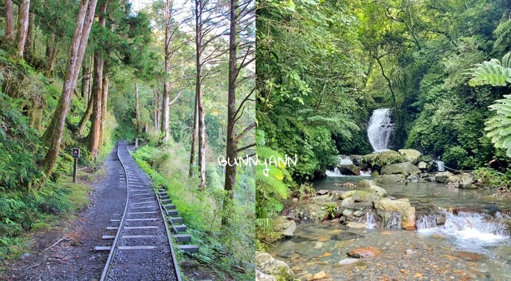 宜蘭登山步道》精選宜蘭森林景點，好走的山林步道，沐浴芬多精輕鬆之旅
