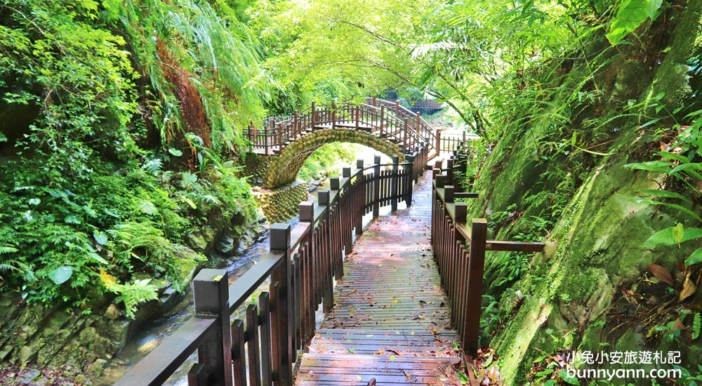 2023【新竹步道推薦】精選10個登山步道與森林景點懶人包