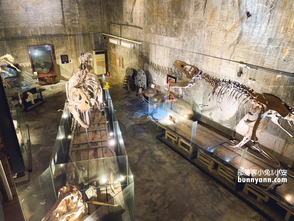 宜蘭室內景點》RobertY廢墟暴龍館，全亞洲完整度最高的真暴龍化石
