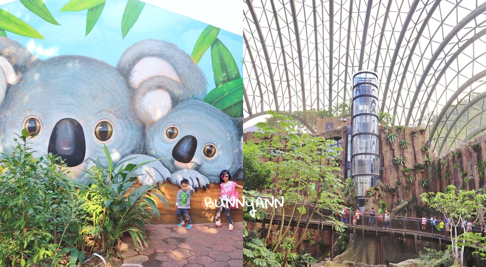 台北市立動物園》台北木柵動物園，熊貓館和穿山甲館最佳攻略路線 @小兔小安*旅遊札記