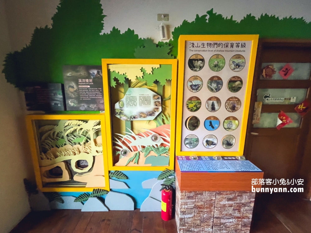 嘉義【觸口自然教育中心】免門票漫步森林公園與樹木館!
