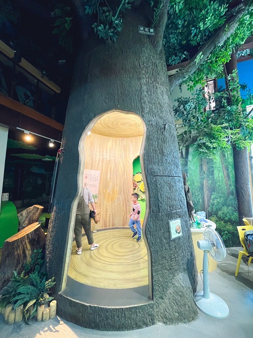 嘉義【觸口自然教育中心】免門票漫步森林公園與樹木館!