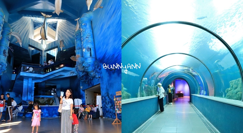 網站近期文章：澎湖水族館海底隧道，潛水員餵食秀，最新門票優惠資訊
