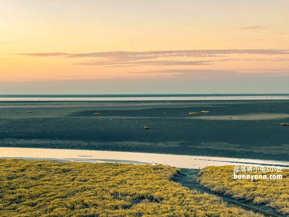 高美濕地親子生態導覽，一起漫步夕陽下探索濕地生態