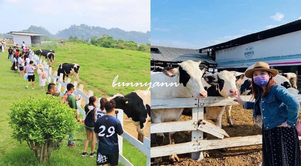 台灣可以看牛景點推薦，10個耍牛脾氣牧場，擠牛奶超有趣 @小兔小安*旅遊札記