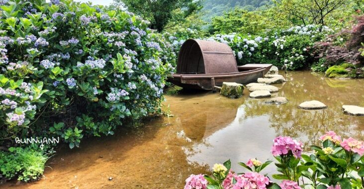 竹子湖「花與樹繡球花園」夢幻系繡球花仙境就在這了 @小兔小安*旅遊札記