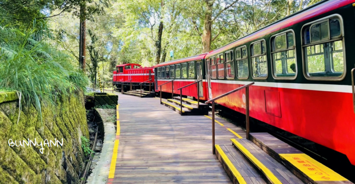 【嘉義】阿里山國家森林遊樂區，搭小火車訪神木群這樣玩整天 @小兔小安*旅遊札記