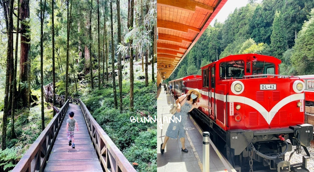 阿里山仙境姊妹潭，沼平車站搭小火車，漫遊森林湖景和森林步道好悠閒