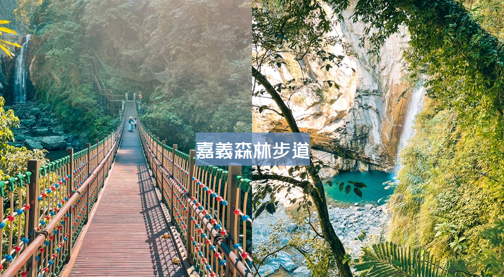 嘉義TOP15條森林步道分享，訪阿里山賞飛瀑、健走沐浴大自然